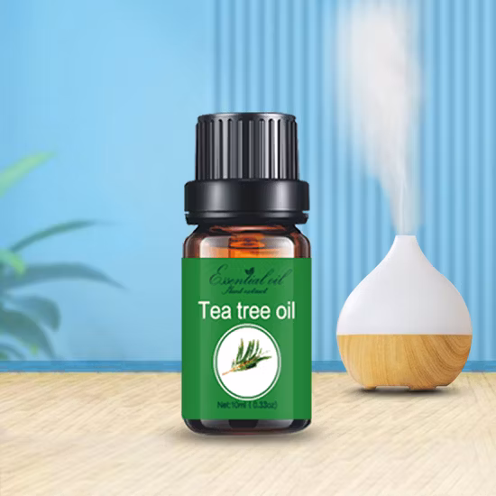 Olio profumato allo zenzero fresco per la produzione di candele Produttore cinese di aromi e fragranze