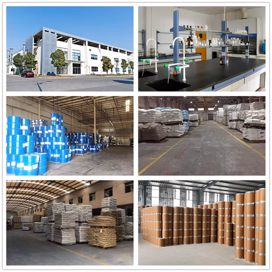 Additivo alimentare Aromi Fragranze CAS 4940